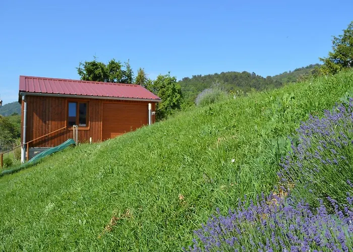 Chambres d'hôtes Les vignes